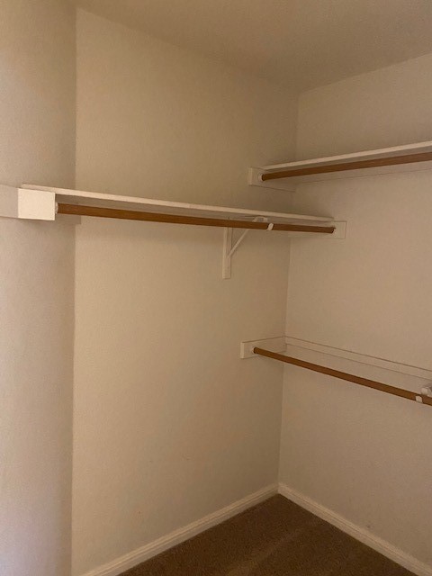 14301 Pebble Run Path Manor, TX 78653 - Photo 13 of 21