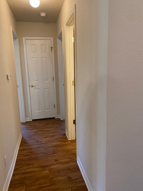 14301 Pebble Run Path Manor, TX 78653 - Photo 16 of 21