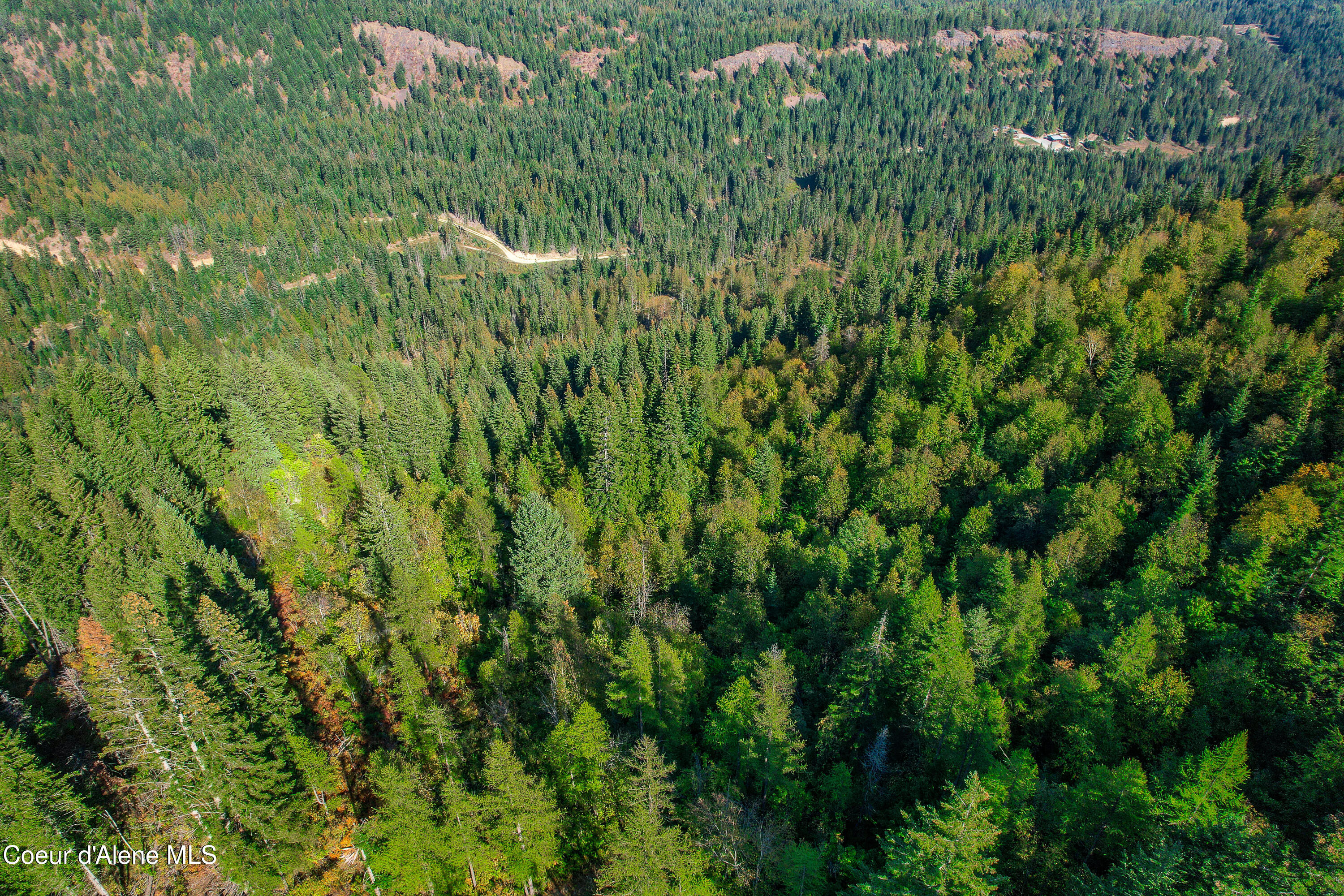 Nna Bodie Canyon Road Priest River, ID 83856 - Photo 11 of 20 Property-7