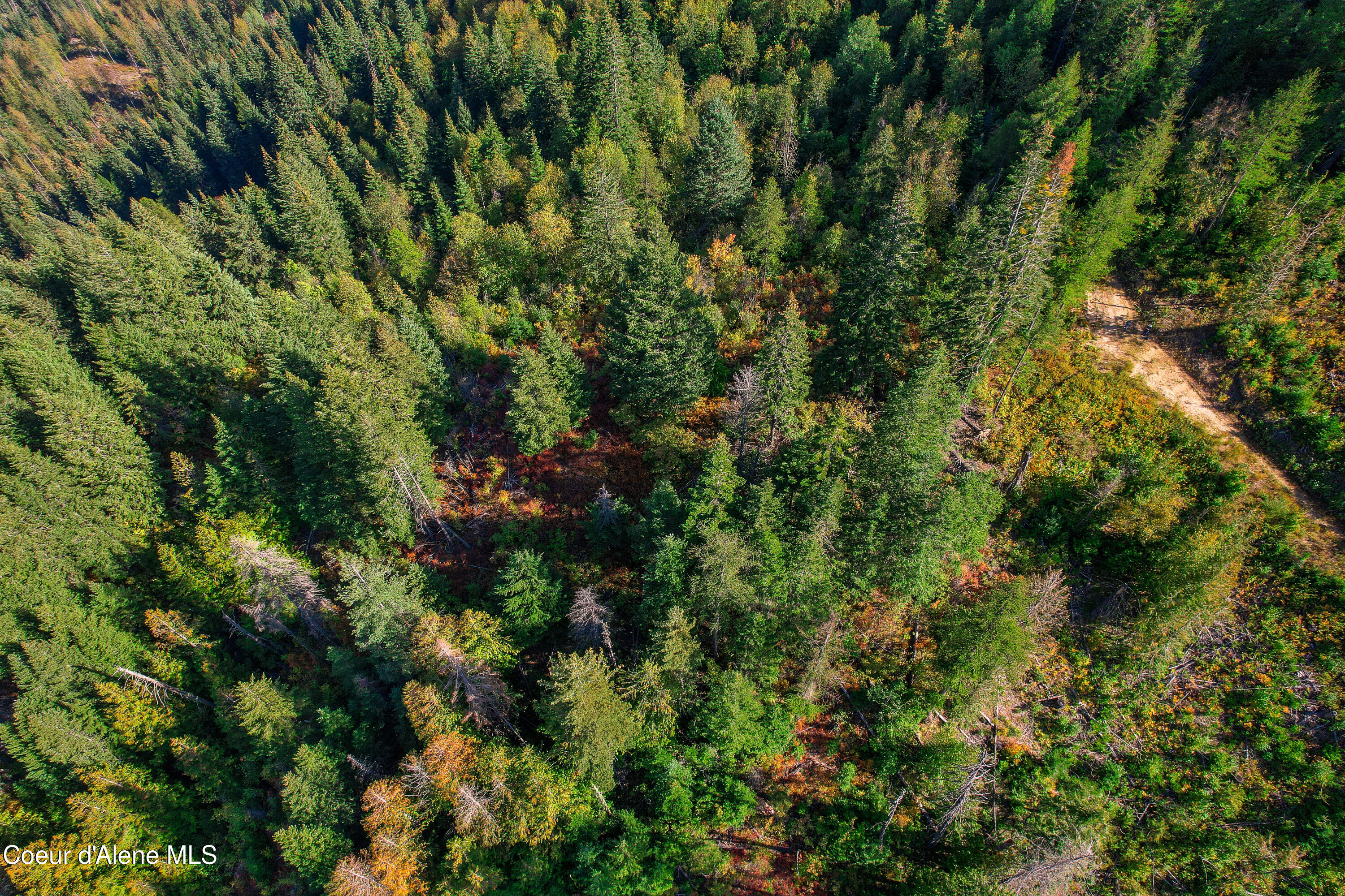 Nna Bodie Canyon Road Priest River, ID 83856 - Photo 16 of 20 Property-13