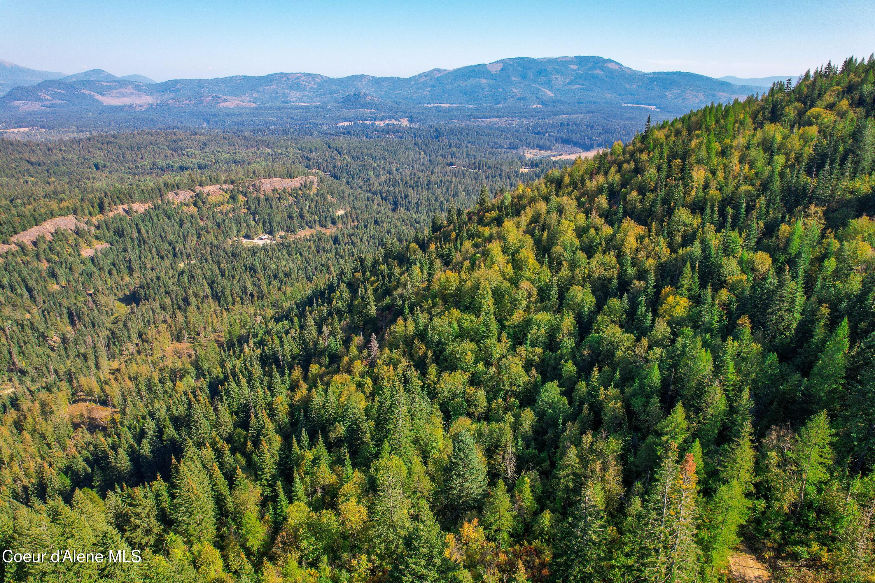 Nna Bodie Canyon Road Priest River, ID 83856 - Photo 18 of 20 Property-14RED