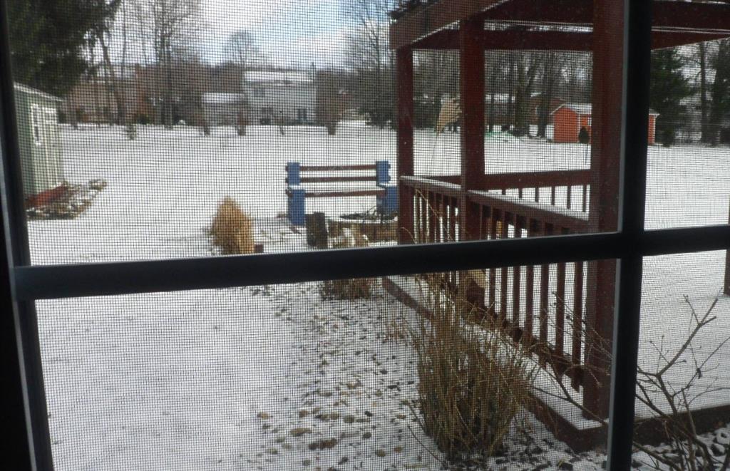 219 Easton Road Hermitage, PA 16148 - Photo 15 of 22 Backyard from kitchen window
