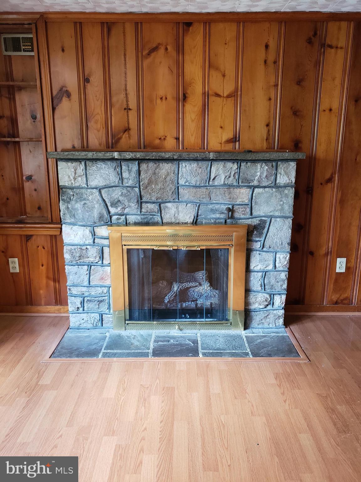 14207 Ritchie Road Cascade, MD 21719 - Photo 20 of 41 Gas Fireplace