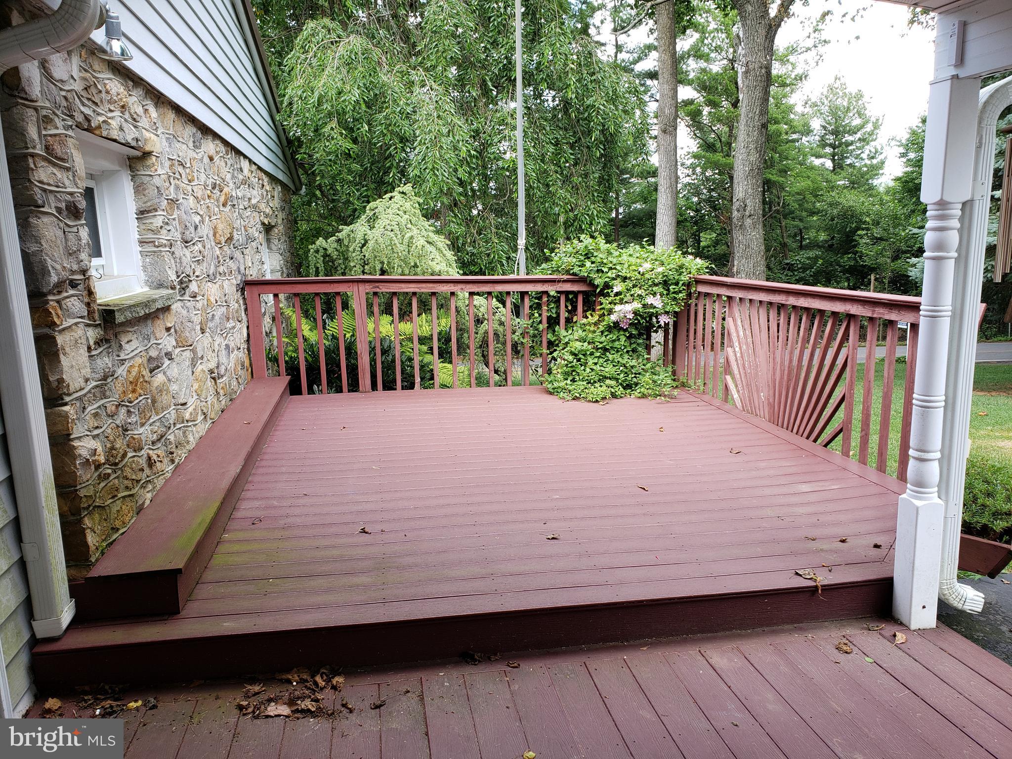 14207 Ritchie Road Cascade, MD 21719 - Photo 5 of 41 Side Deck