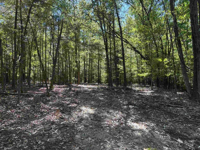 a view of outdoor space with trees