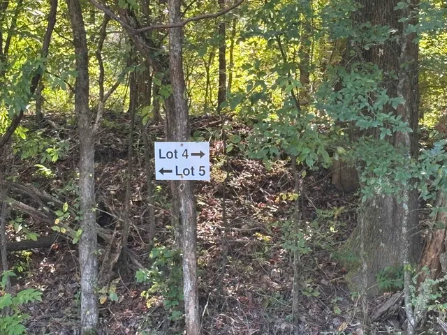 a sign that is sitting in a forest