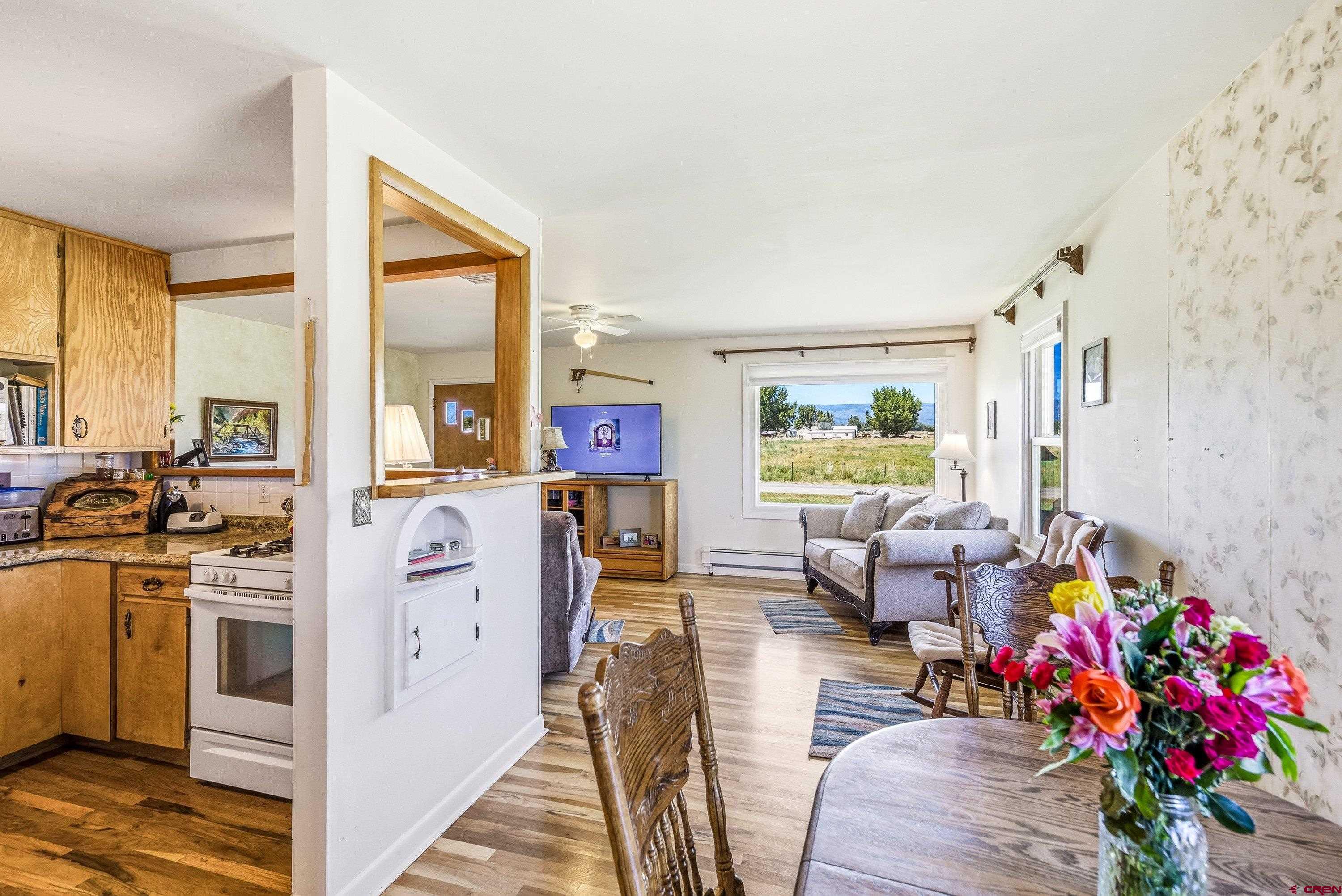 21066 Kaiser Road Austin, CO 81410 - Photo 7 of 42