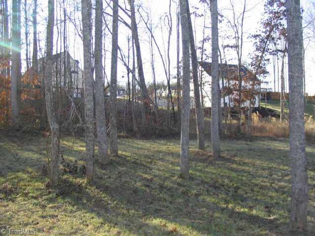 Other. back yard