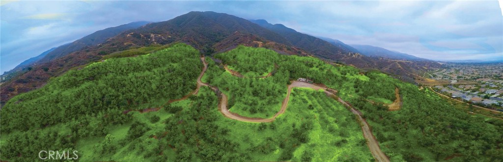 3933 Malaga Street Corona, CA 92882 - Photo 12 of 18 a view of a yard with plants and a large tree