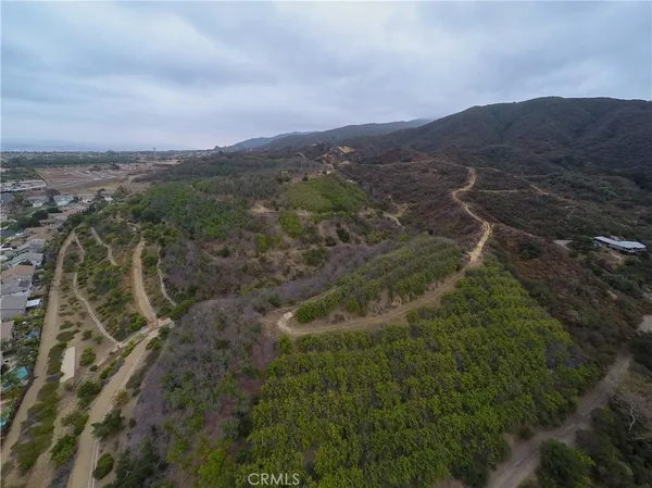 an aerial view of forest