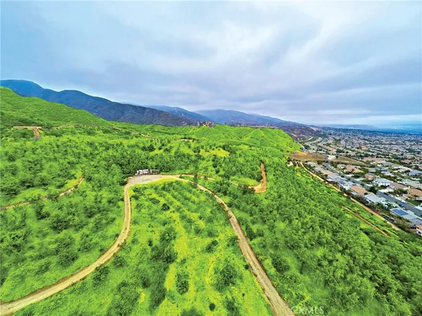 a view of a yard with an trees