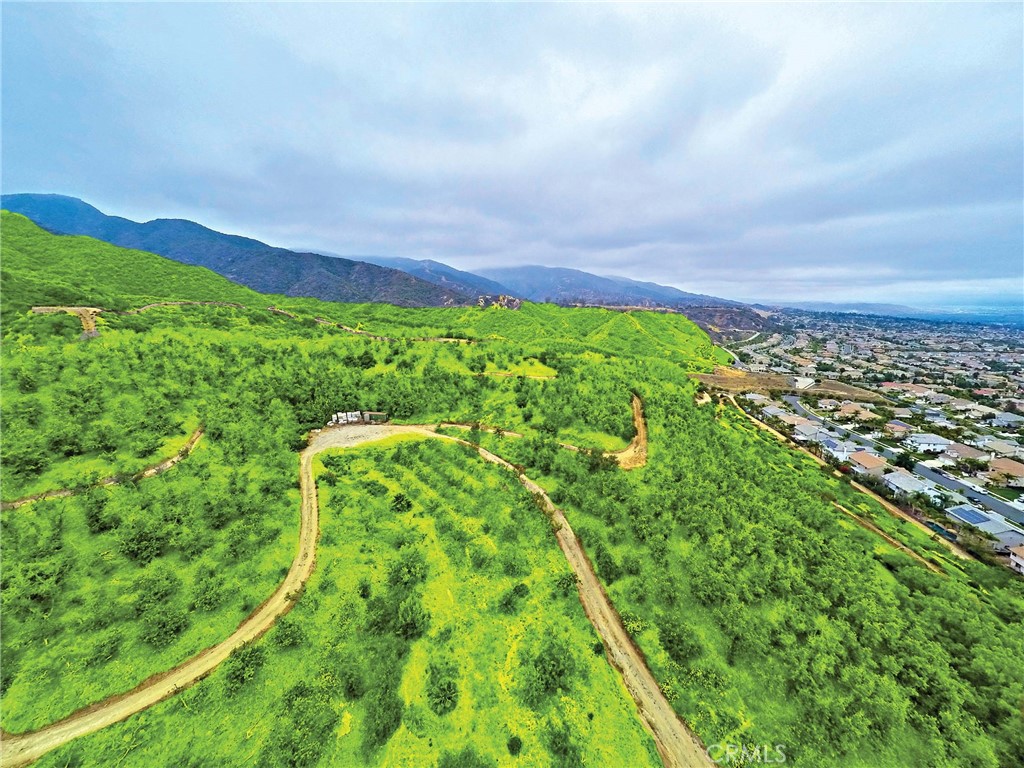 3933 Malaga Street Corona, CA 92882 - Photo 14 of 18 a view of a yard with an trees
