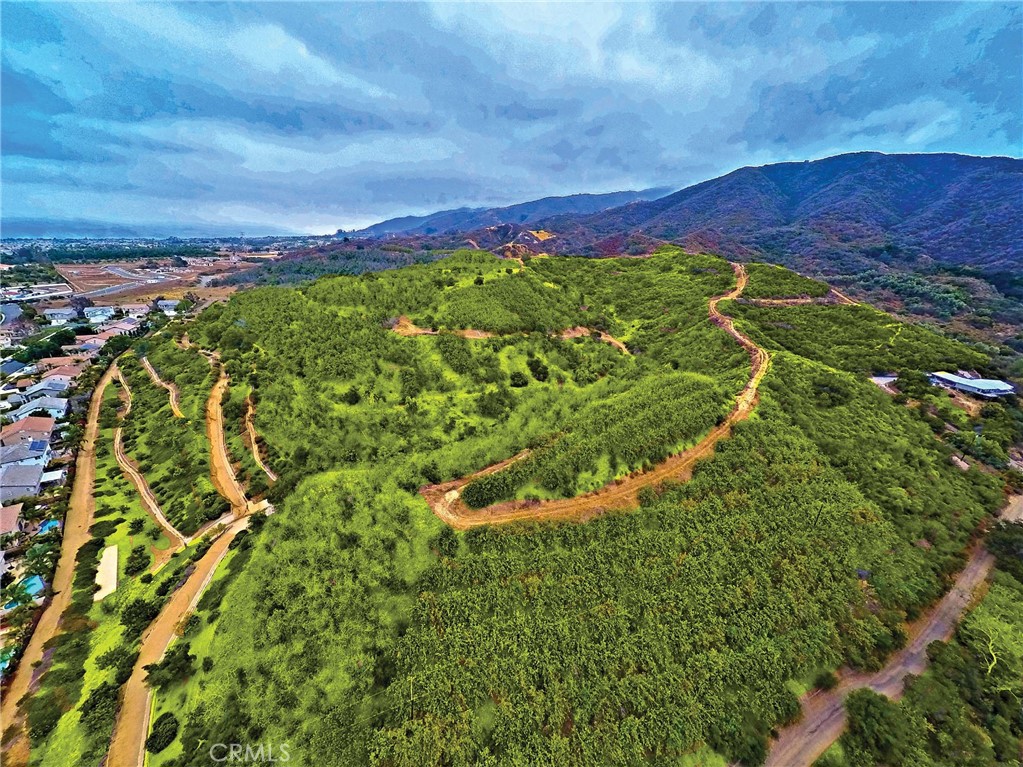 3933 Malaga Street Corona, CA 92882 - Photo 15 of 18 a view of a pathway with a garden