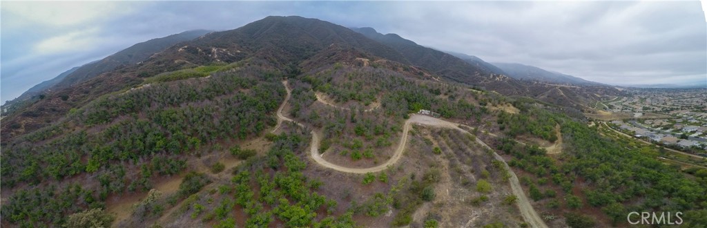 3933 Malaga Street Corona, CA 92882 - Photo 16 of 18 a view of a forest with a yard