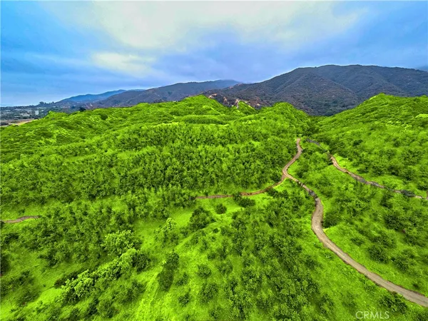 a view of a lush green hillside and a houses