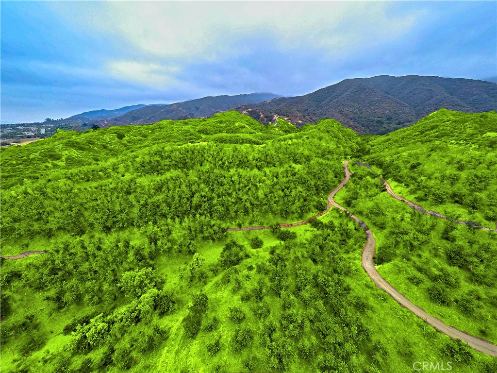 3933 Malaga Street Corona, CA 92882 - Photo 2 of 18 a view of a lush green hillside and a houses