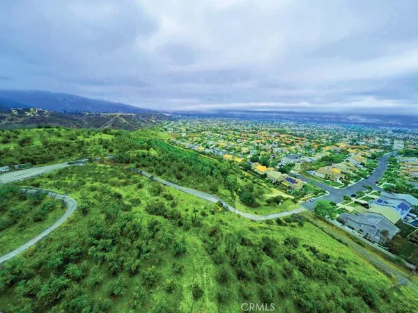 a view of a field with a tree in front of it