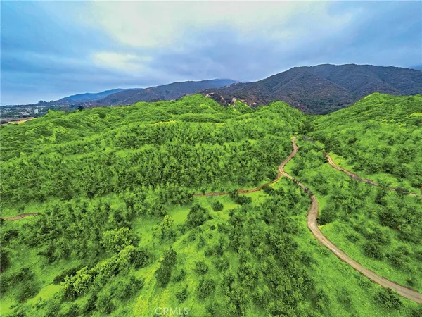 a view of a lush green hillside and a houses