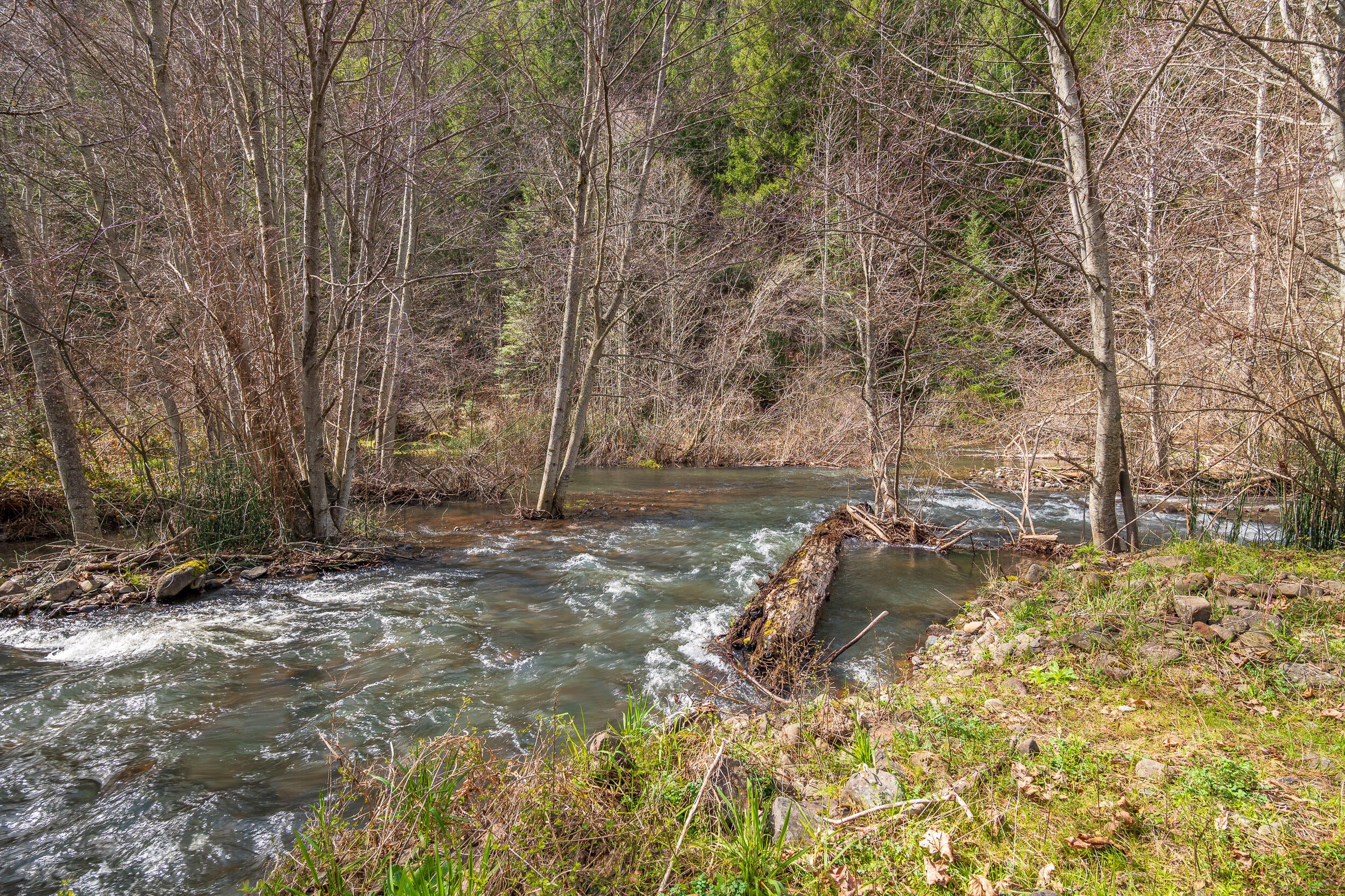 11950 South Fork Little Butte Creek Road Eagle Point, OR 97524 - Photo 9 of 27 SFLILBUTTE9