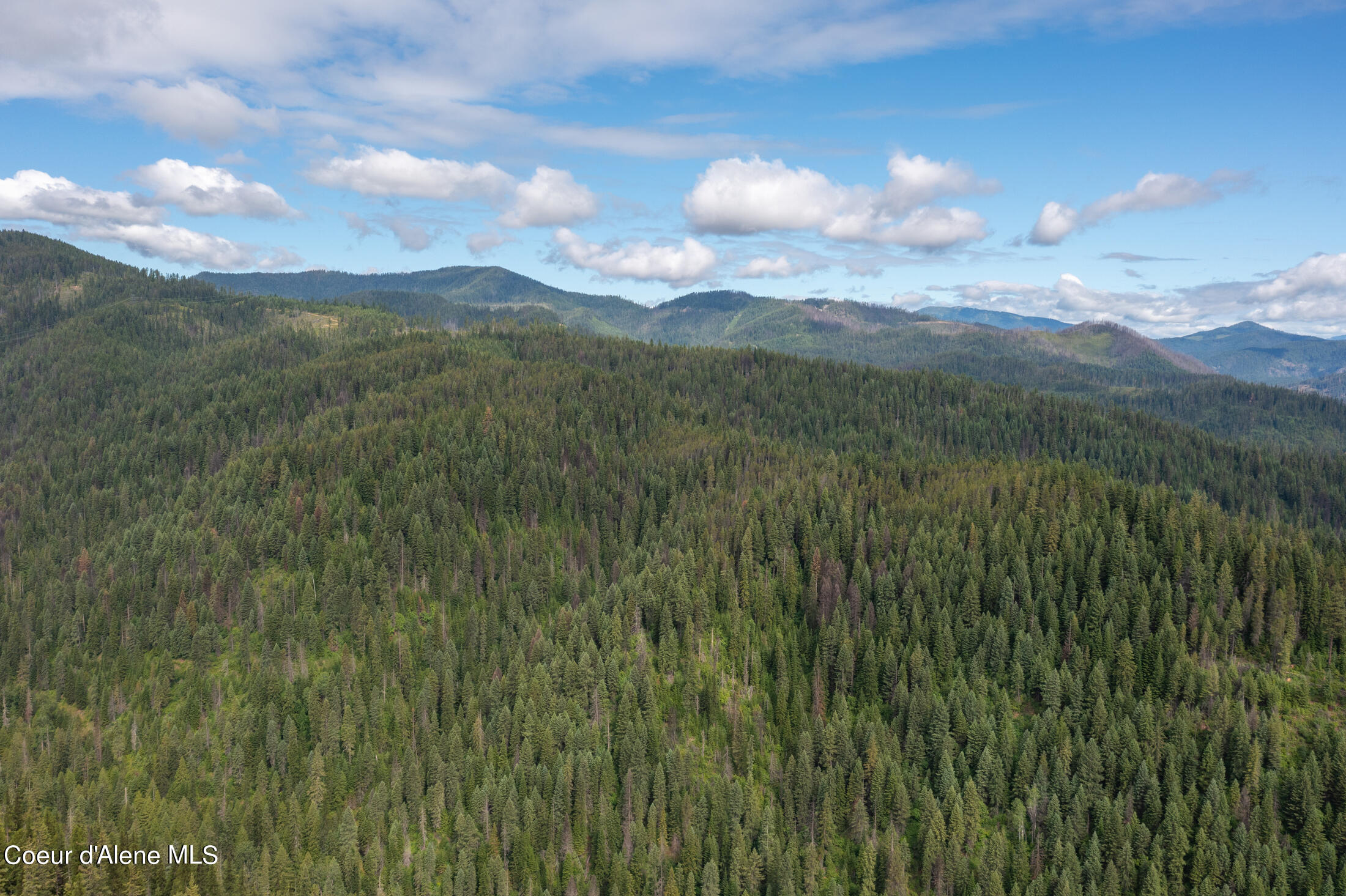 Nna Beaver Creek Road Wallace, ID 83873 - Photo 48 of 57 DJI_0823-HDR-36