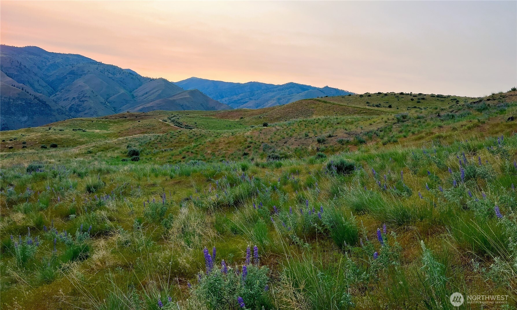 a view of a lush green mountain in the distance
