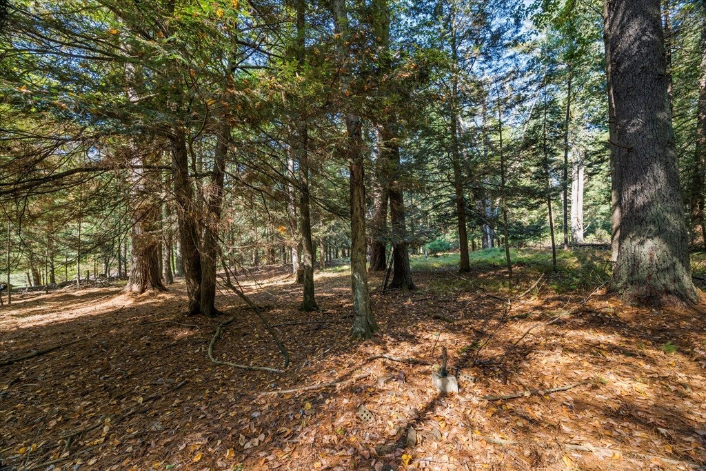 1403 River Road Cooksburg, PA 16217 - Photo 44 of 64 Gallery Image 44