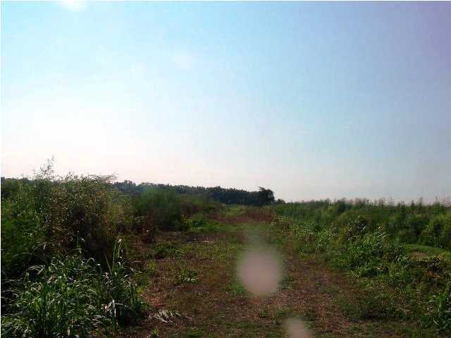 0 Old Jeanerette Road New Iberia, LA 70563 - Photo 5 of 12 Additional Photo