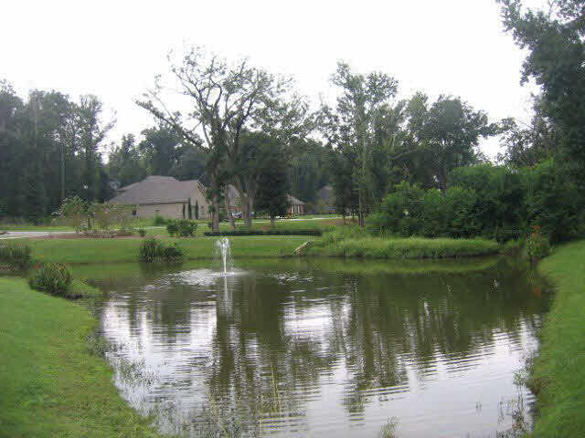 0 Whittier Street Fairhope, AL 36532 - Photo 5 of 8 Lot for Sale Whittier Street Lot 55 Song Grove Pond