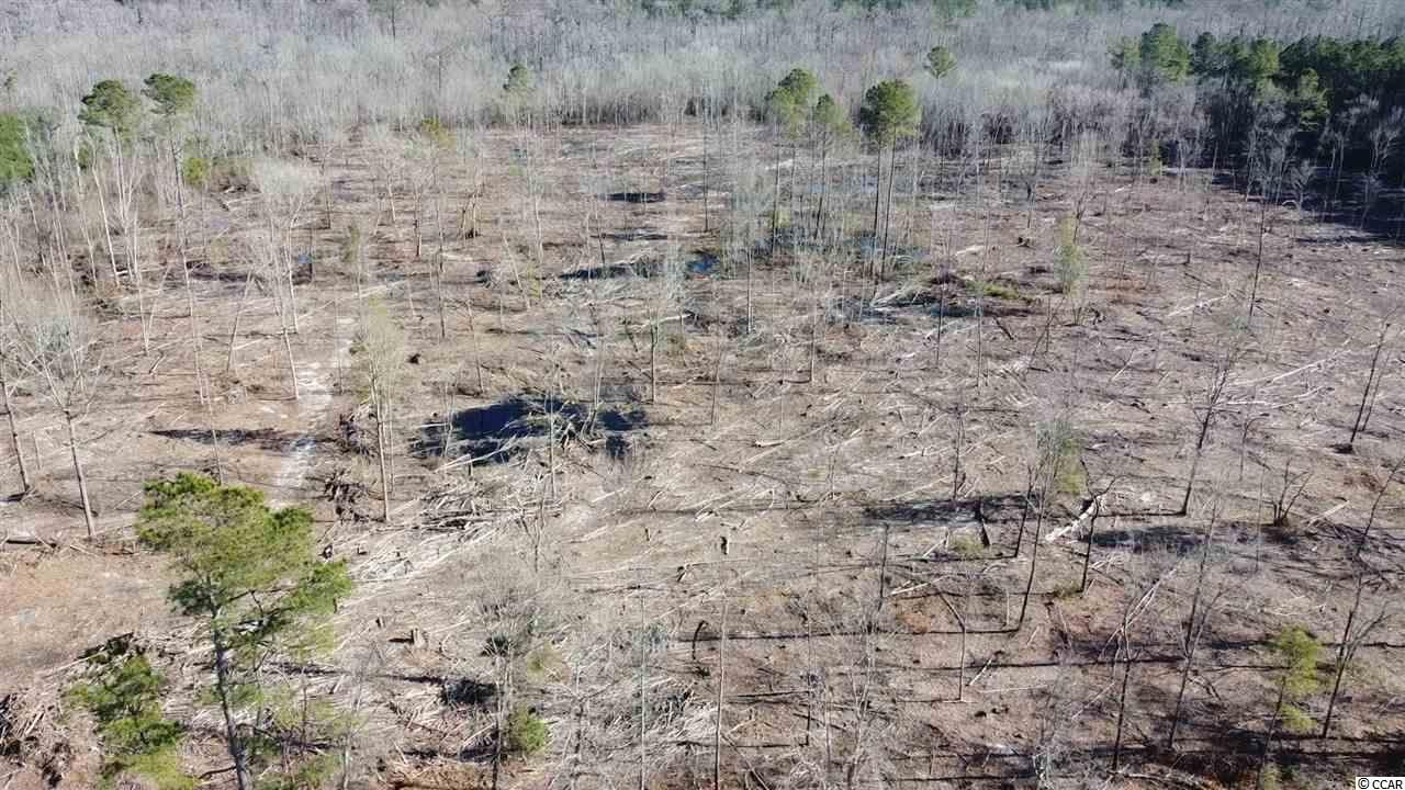 7724 Hunting Swamp Road Conway, SC 29527 - Photo 4 of 14 Gallery Image 4