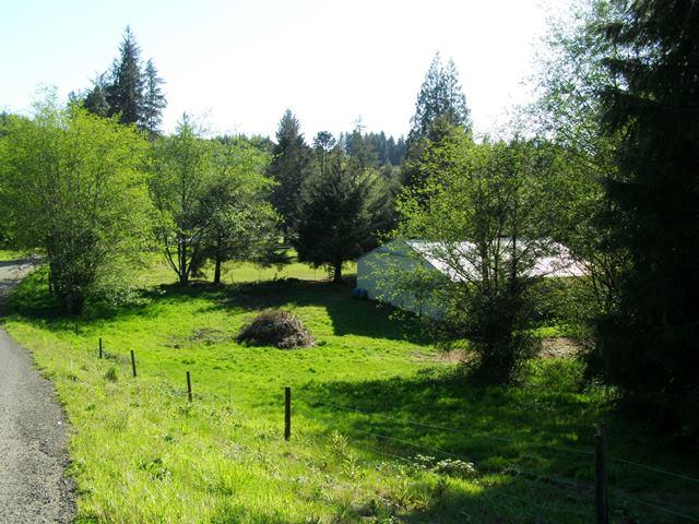 Tl#1102 Hurliman Hill Road Tillamook, OR 97141 - Photo 15 of 15 P5071178