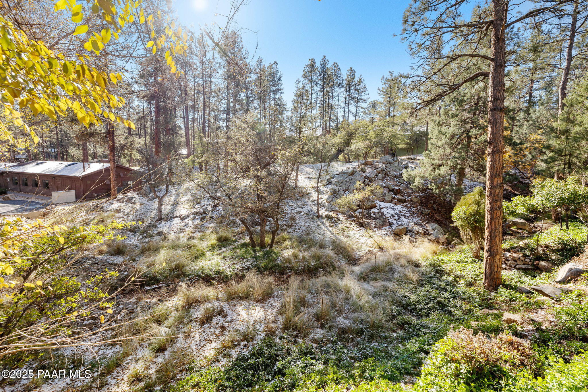 1219 Timber Point North Prescott, AZ 86303 - Photo 31 of 38 a view of a yard with plants and trees