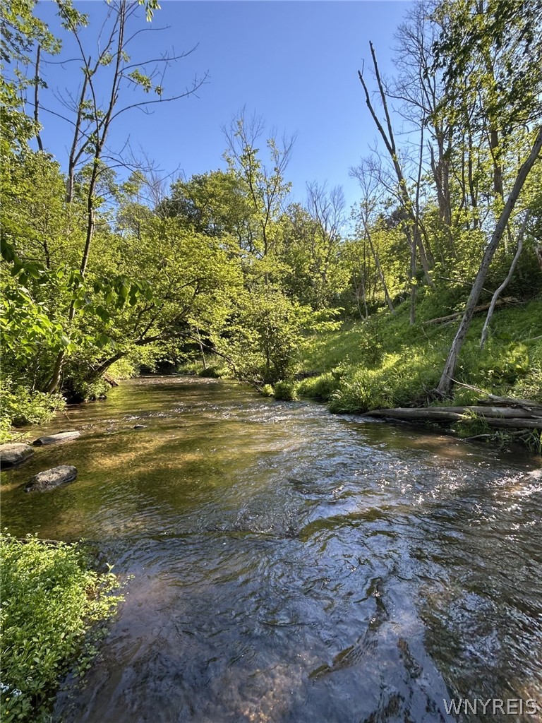 6810 Rt-39 Bliss, NY 14024 - Photo 6 of 10 CREEK
