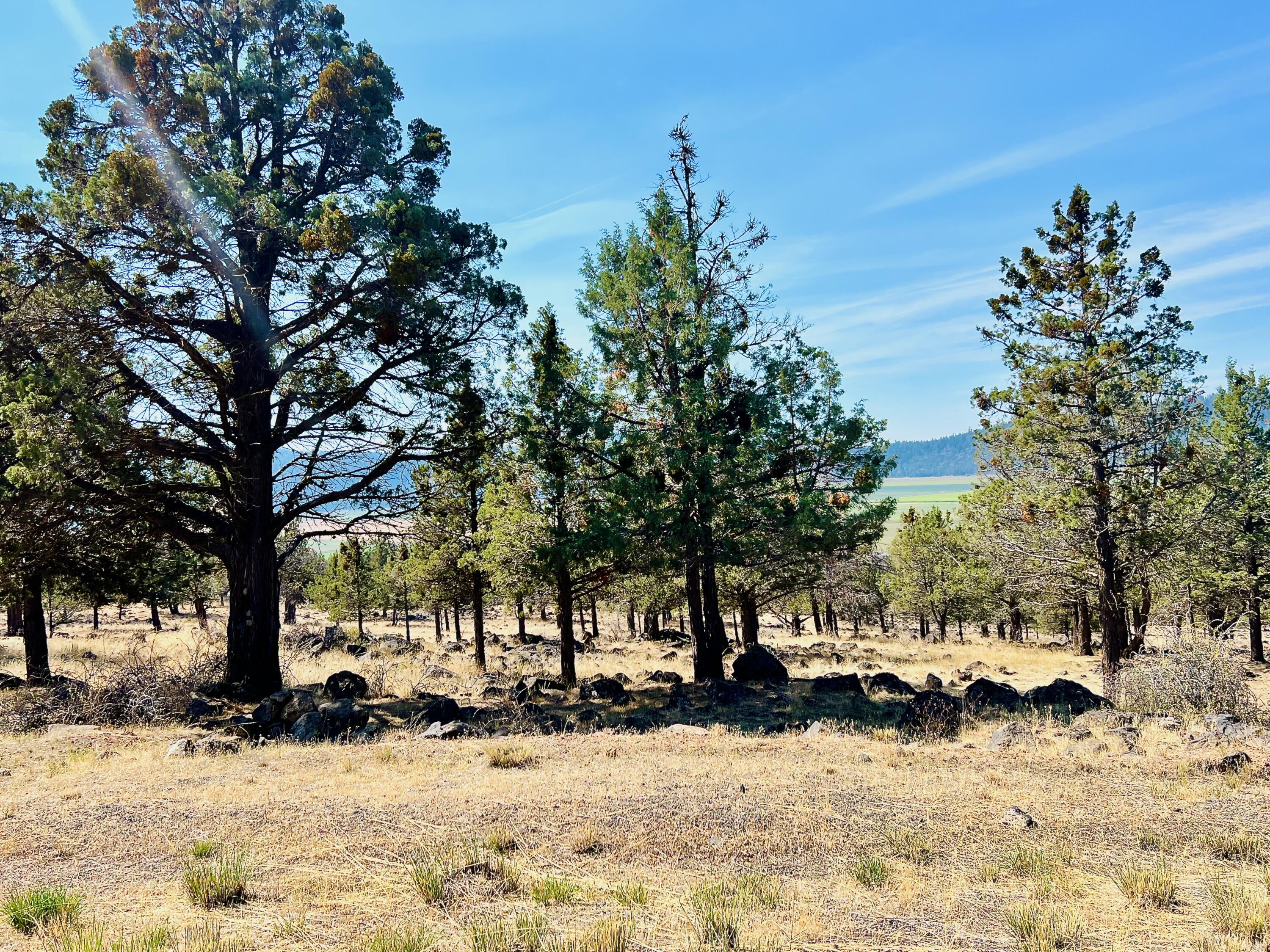 801 Cooper's Hawk Road Klamath Falls, OR 97601 - Photo 8 of 12 8