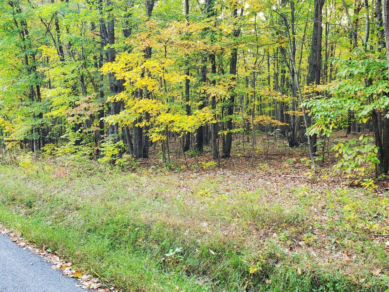 0 Midland Road Wingina, VA 24599 - Photo 1 of 3 Main