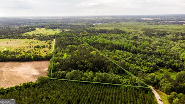 a view of a lush green field with a view of mountains in the background