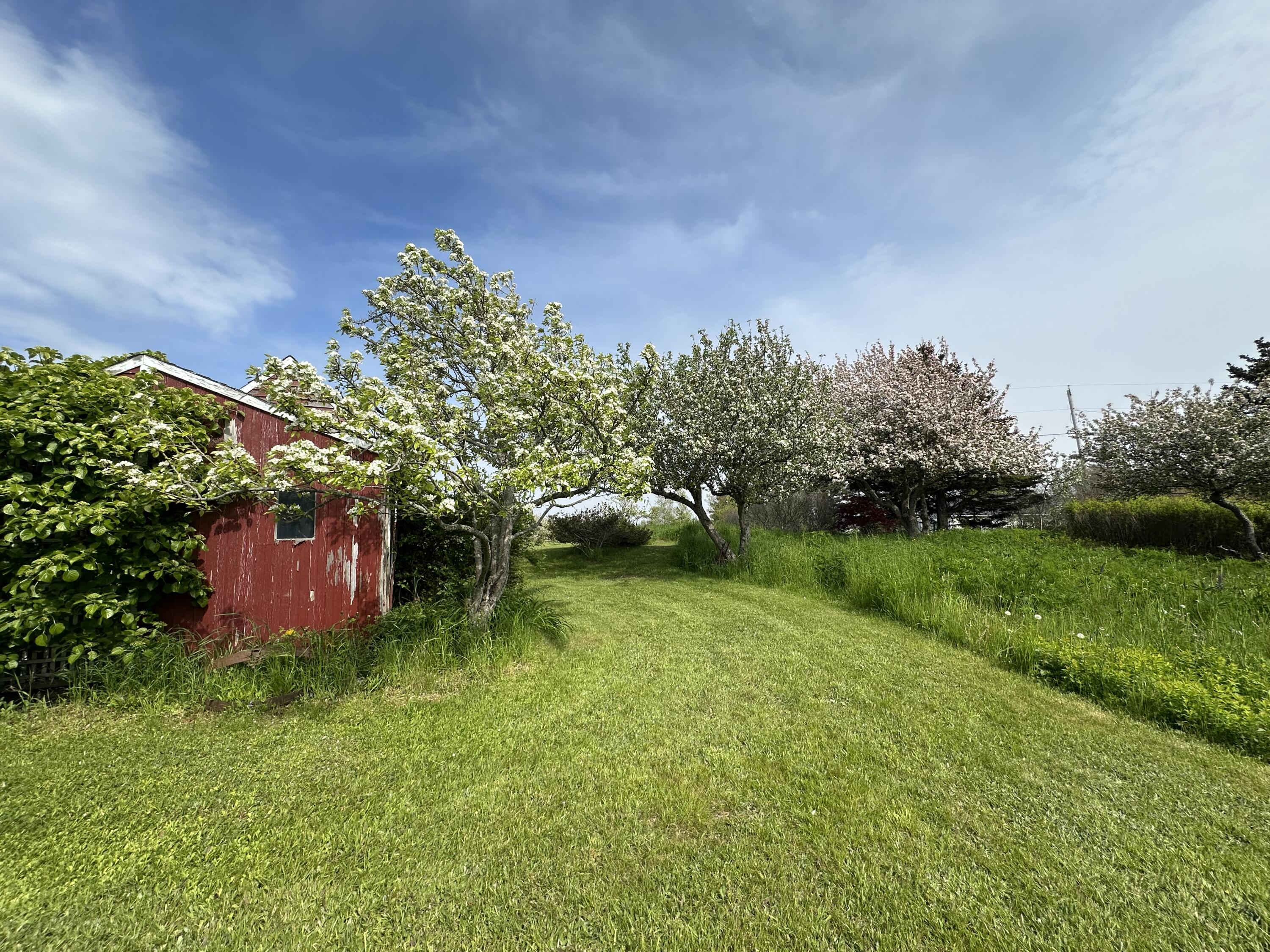 3 South Road Matinicus, ME 04851 - Photo 51 of 58 IMG_2599