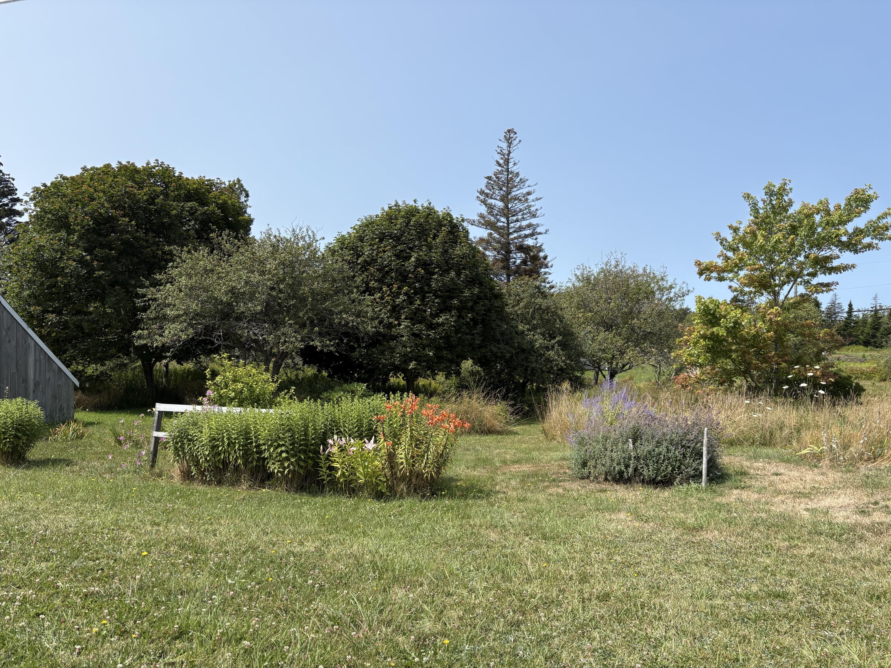 3 South Road Matinicus, ME 04851 - Photo 56 of 58 A. Rankin Photos 2