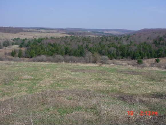 540 Jennings Road Lisle, NY 13803 - Photo 1 of 3 Gallery Image 1
