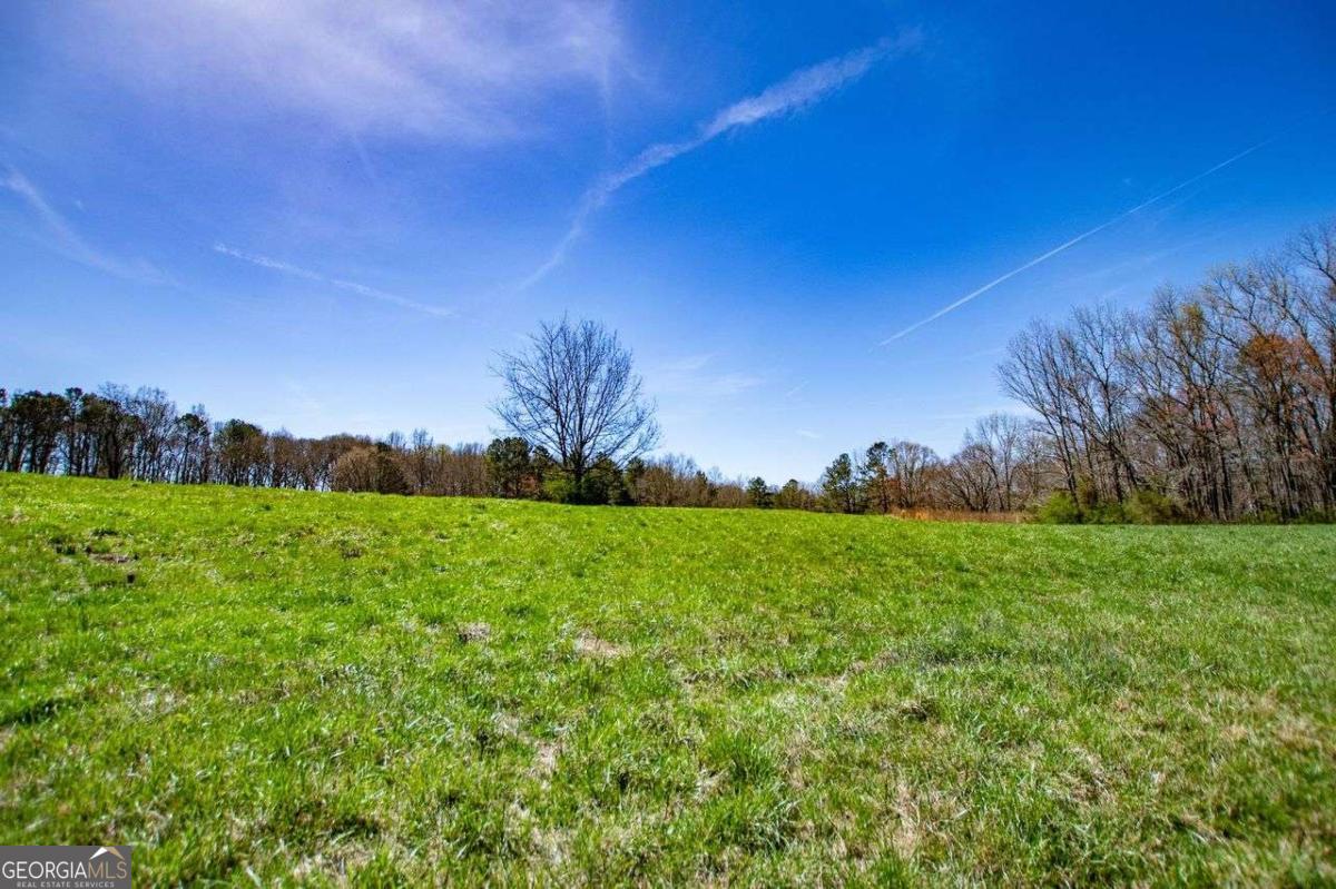 a view of a field of grass and trees