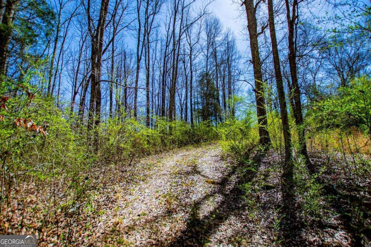 353 South Prospect Avenue Waco, GA 30182 - Photo 11 of 20 a view of a backyard