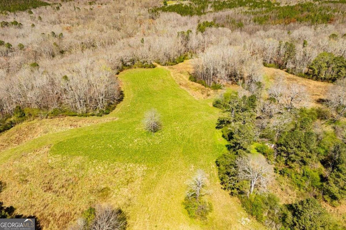 353 South Prospect Avenue Waco, GA 30182 - Photo 12 of 20 a view of ocean with a large tree