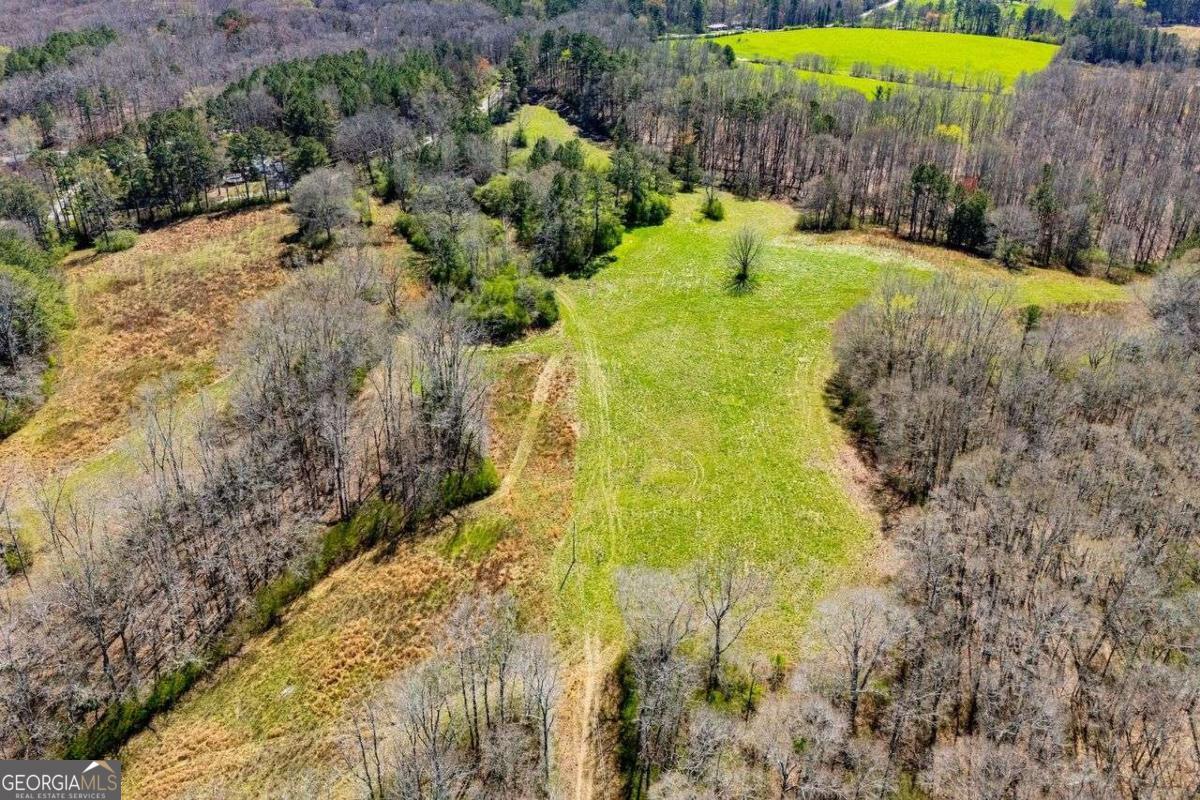 353 South Prospect Avenue Waco, GA 30182 - Photo 13 of 20 a view of a swimming pool