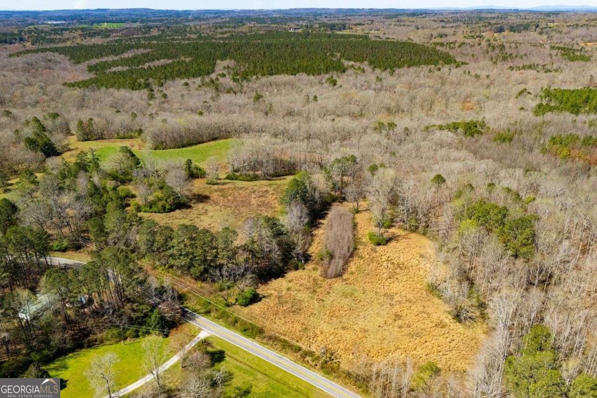 353 South Prospect Avenue Waco, GA 30182 - Photo 15 of 20 a view of lake view