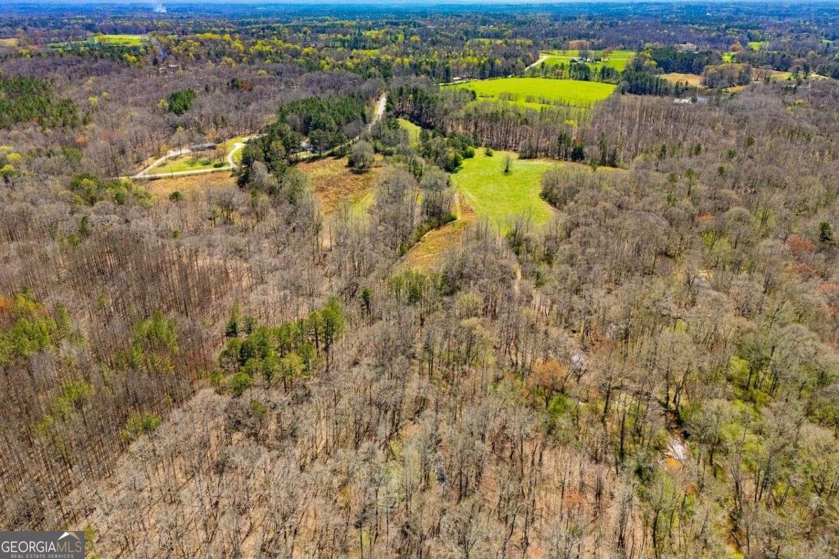 353 South Prospect Avenue Waco, GA 30182 - Photo 17 of 20 a view of a city