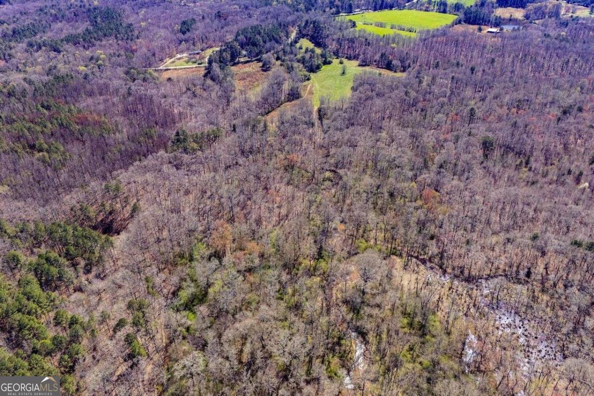 353 South Prospect Avenue Waco, GA 30182 - Photo 20 of 20 a view of a dry yard
