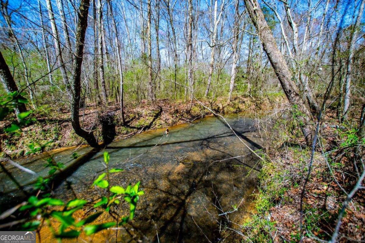 353 South Prospect Avenue Waco, GA 30182 - Photo 2 of 20 a backyard of a house with lots of green space