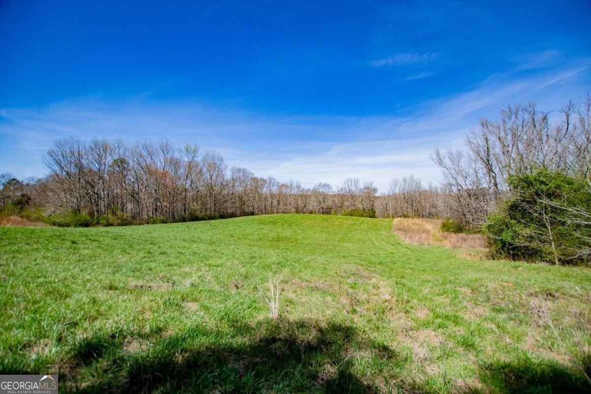 353 South Prospect Avenue Waco, GA 30182 - Photo 3 of 20 a view of a yard