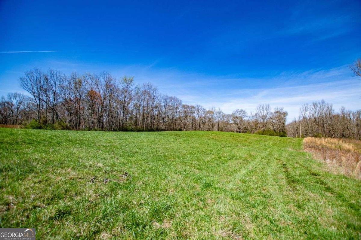 353 South Prospect Avenue Waco, GA 30182 - Photo 4 of 20 a view of a yard with an trees