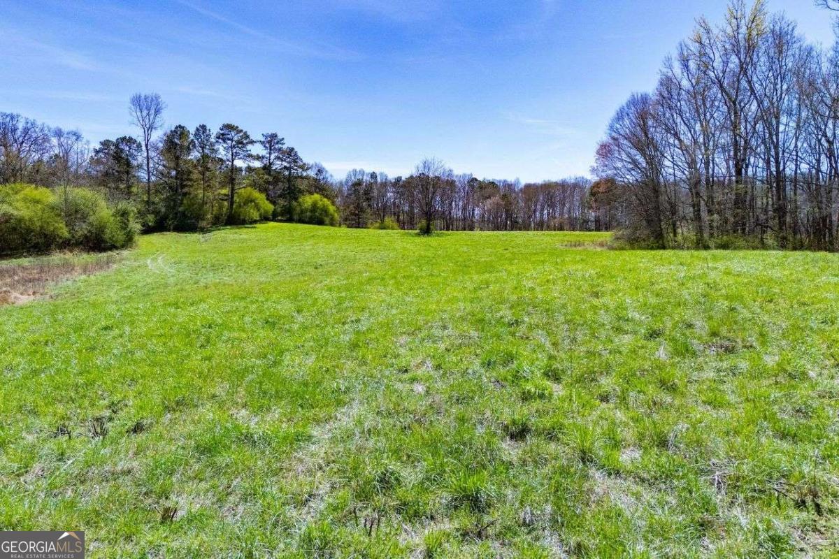 353 South Prospect Avenue Waco, GA 30182 - Photo 5 of 20