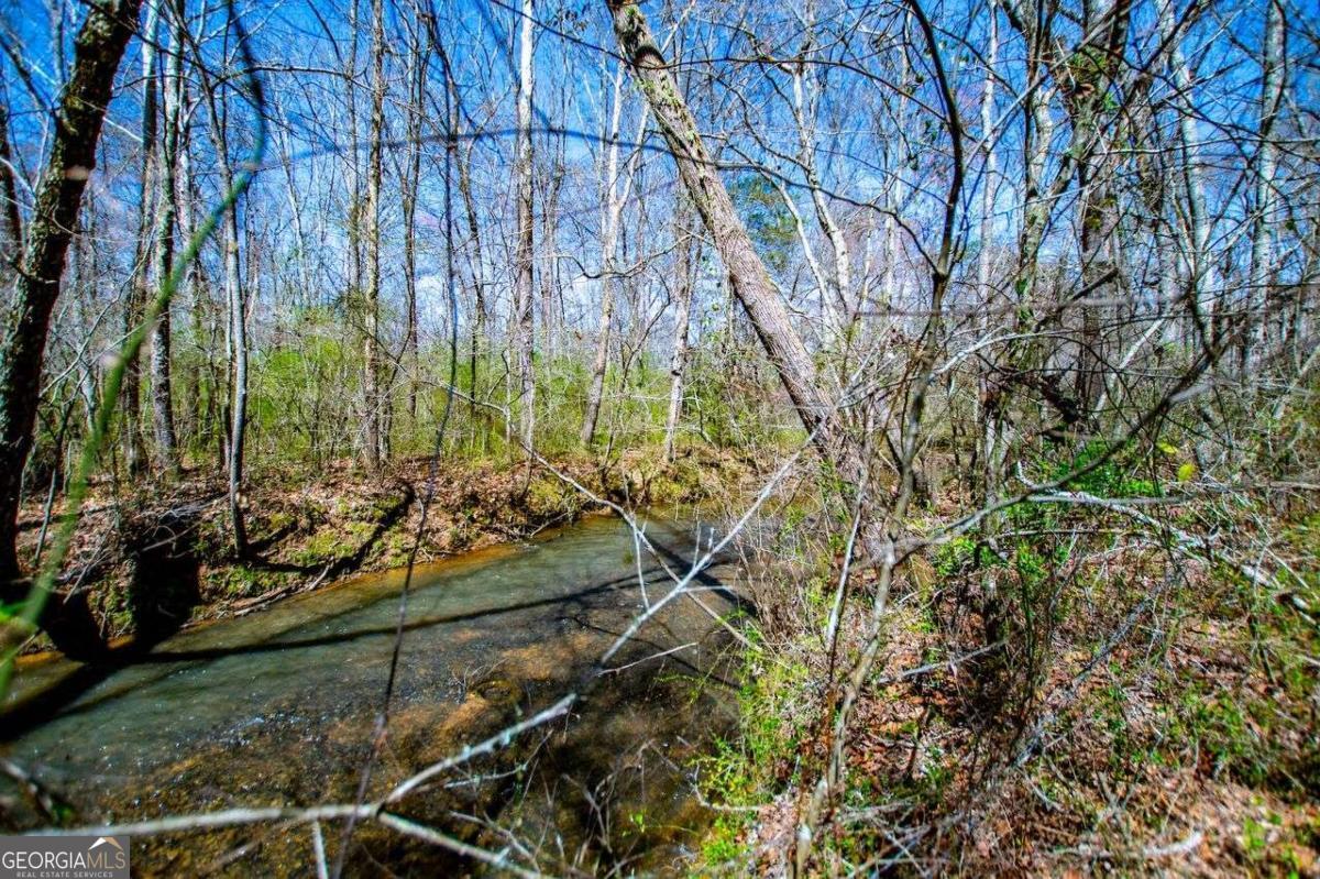 353 South Prospect Avenue Waco, GA 30182 - Photo 6 of 20 a view of a yard with a tree